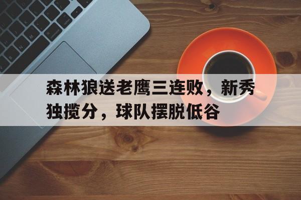 森林狼送老鹰三连败，新秀独揽分，球队摆脱低谷